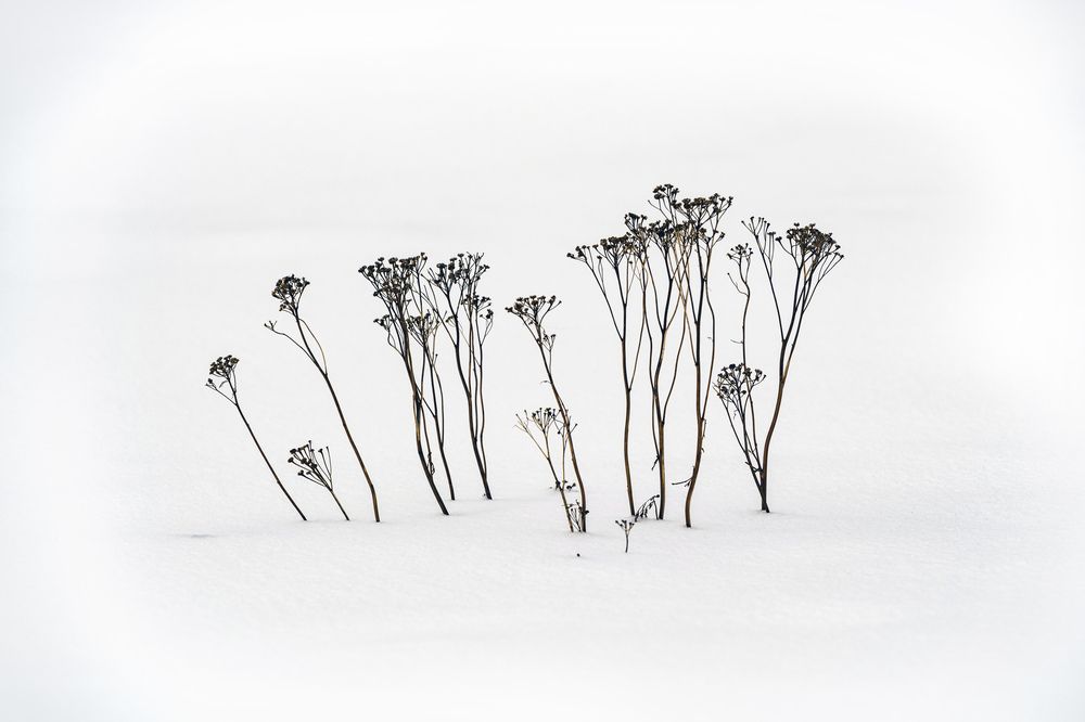 Photograph by ARTEM KORZHUKOV