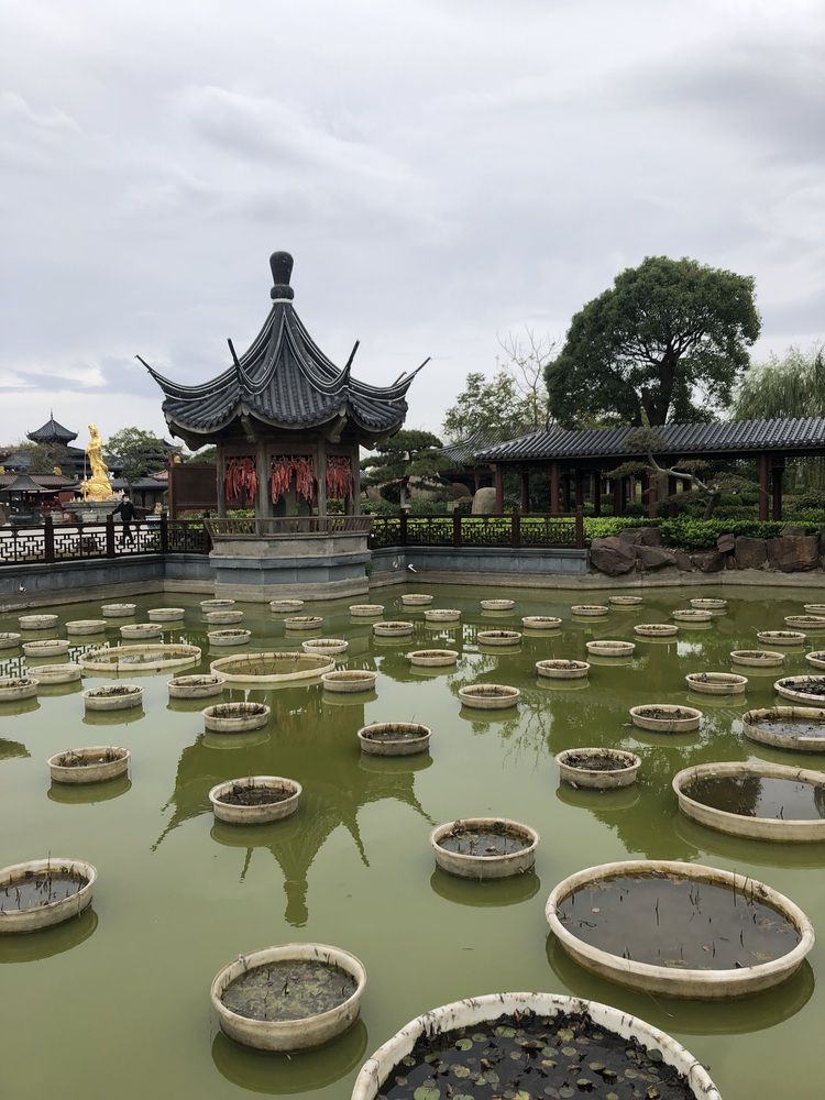 Photograph by Юлия Зубова