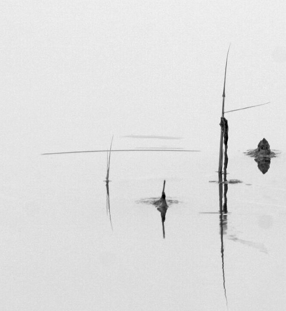 Photograph by Сергей Христинич