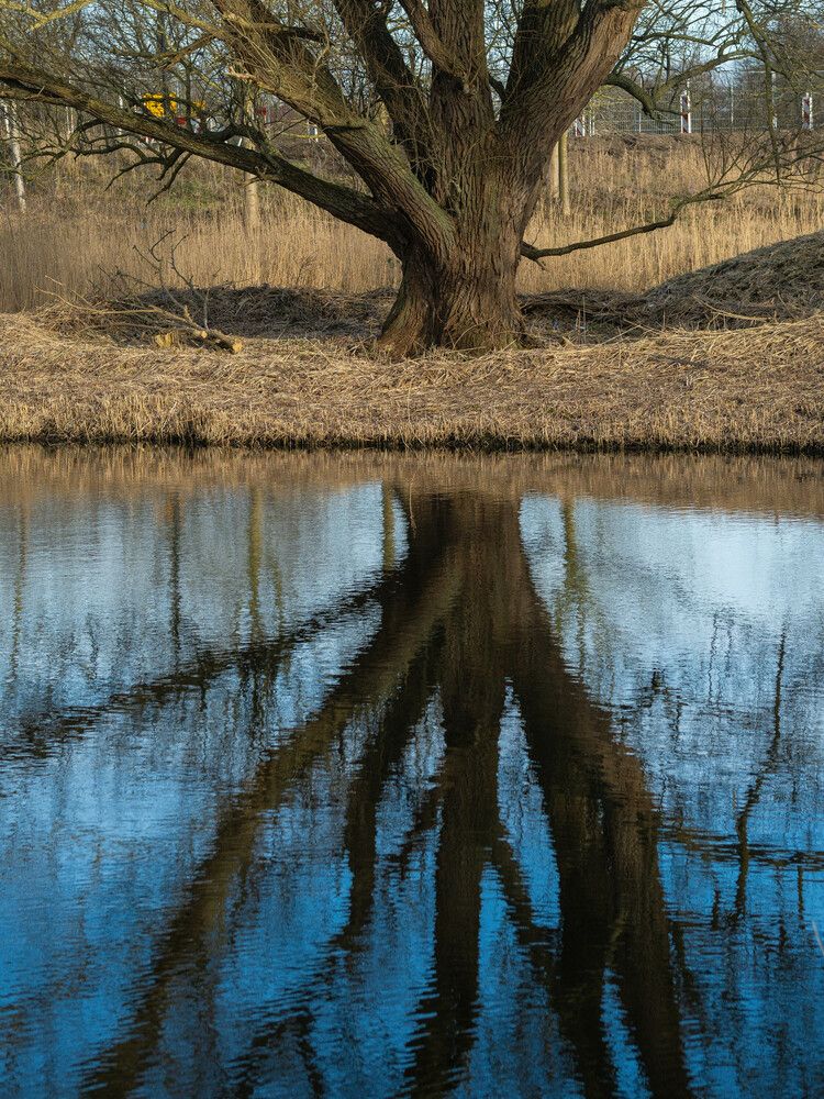 Photograph by Ирина Протченко
