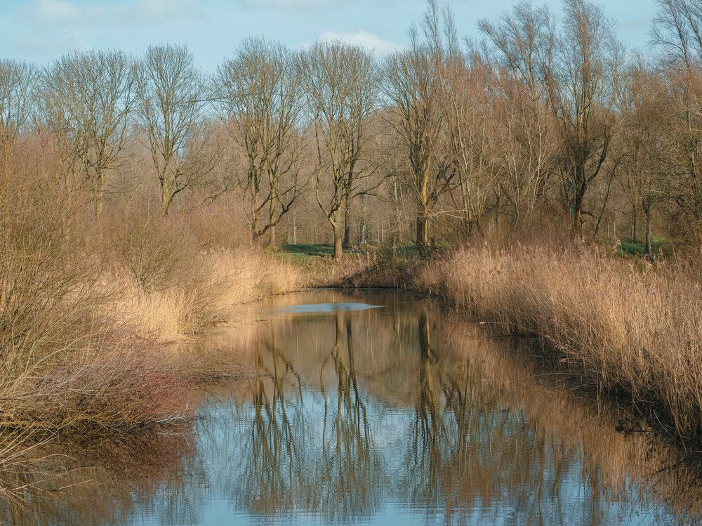 Photograph by Ирина Протченко