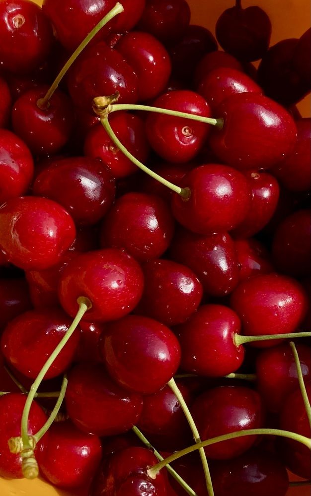 Photograph by Ирина Молибог