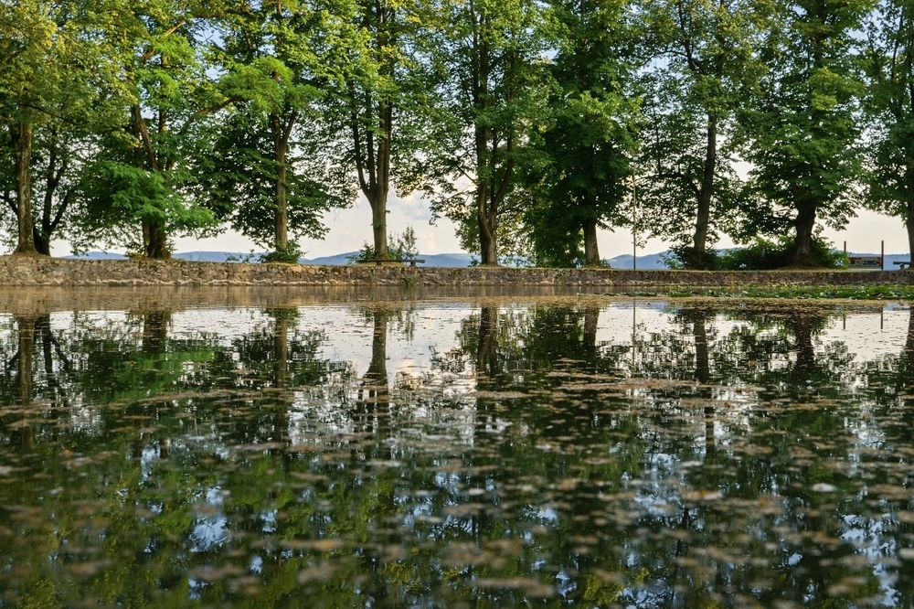 Photograph by Milan Cernak