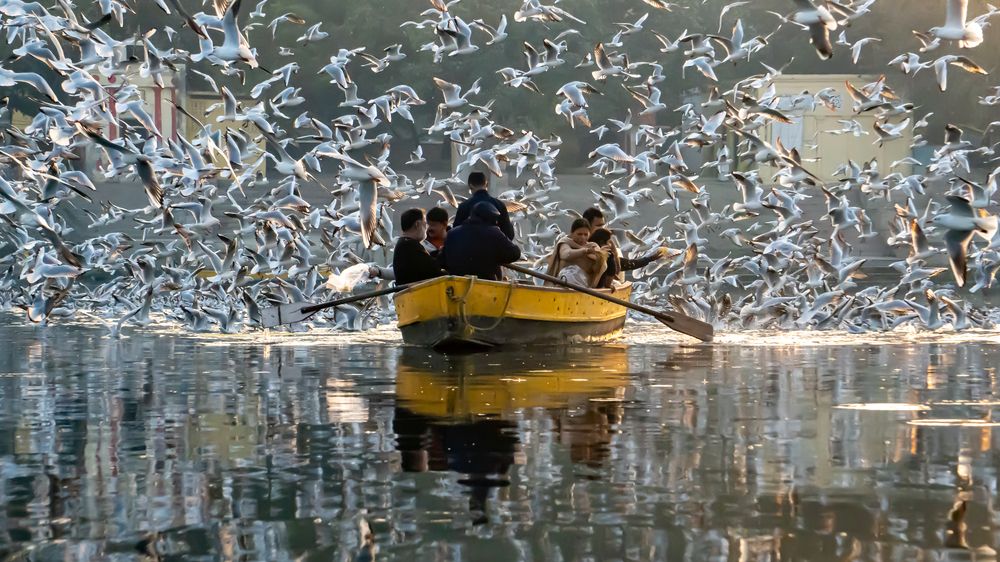 Фотография автора savitri Rawat