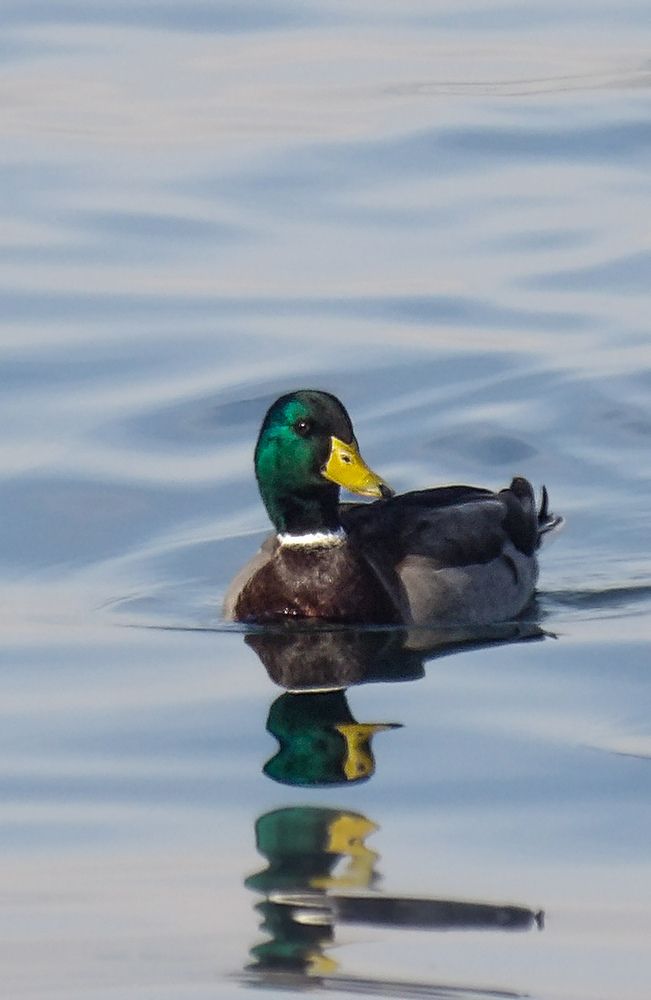 Photograph by Armando Perez