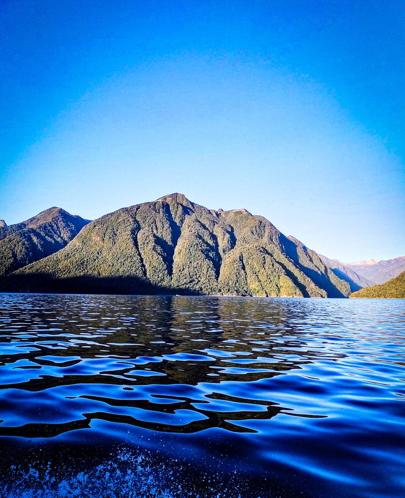 Photograph by Armando Perez