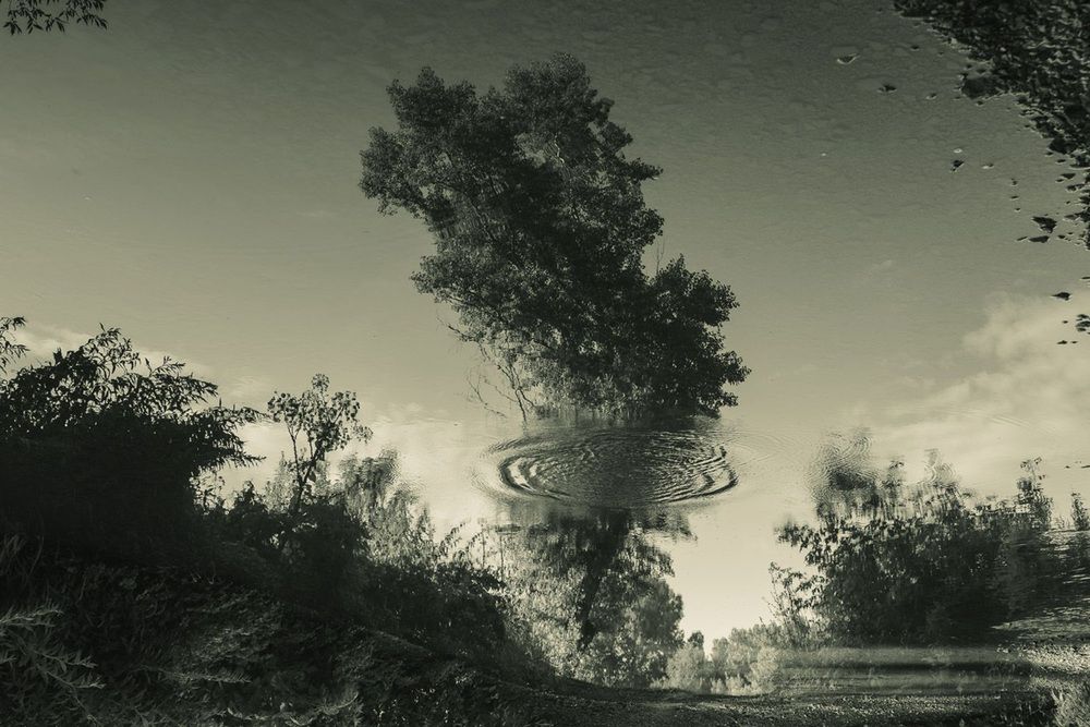 Photograph by Ирина Яук