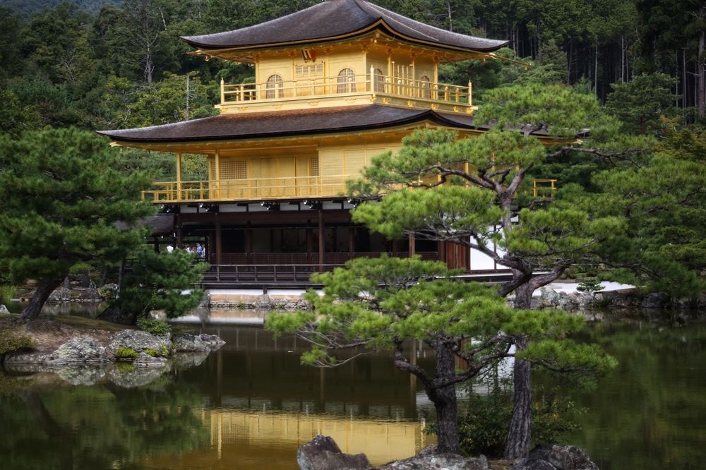 Photograph by Елена Хорошильцева