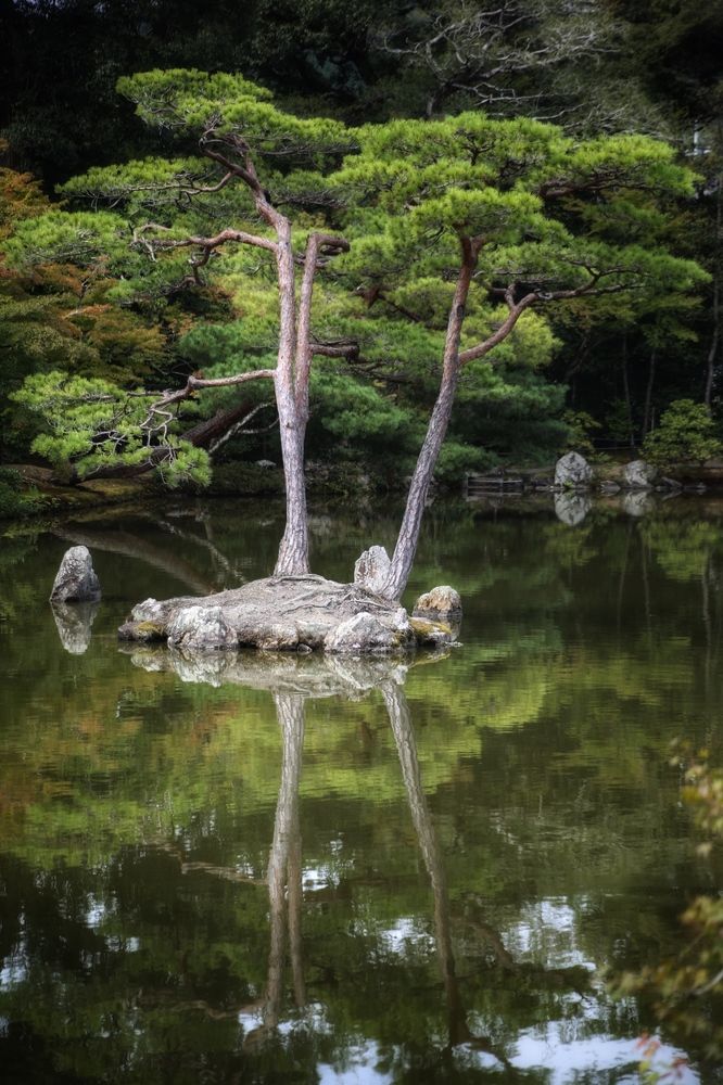 Photograph by Елена Хорошильцева