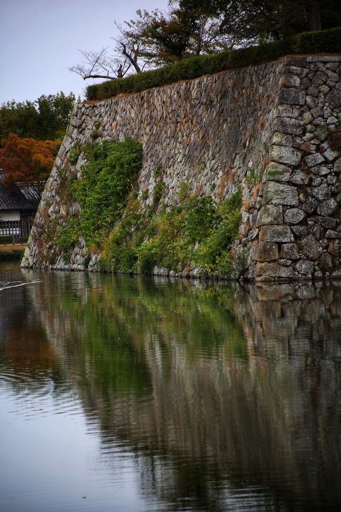 Photograph by Елена Хорошильцева