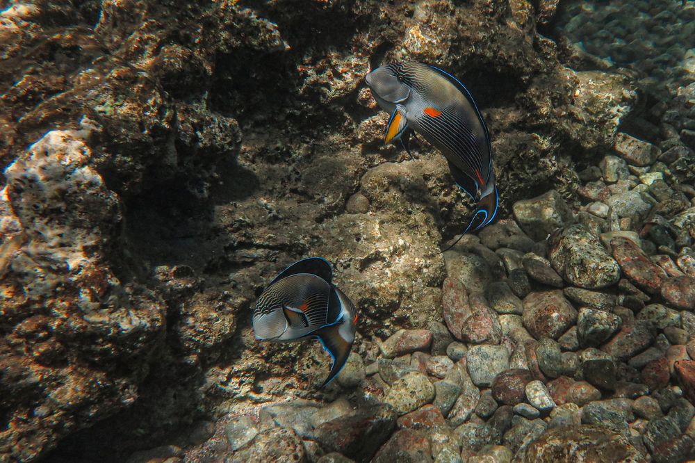 Photograph by Борис Лишневский