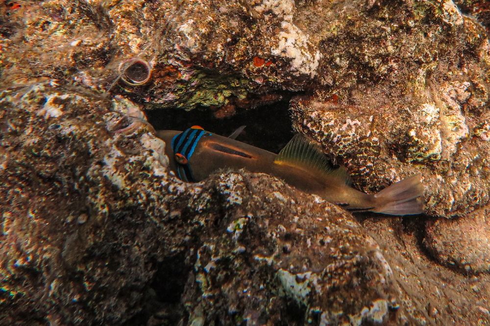 Photograph by Борис Лишневский