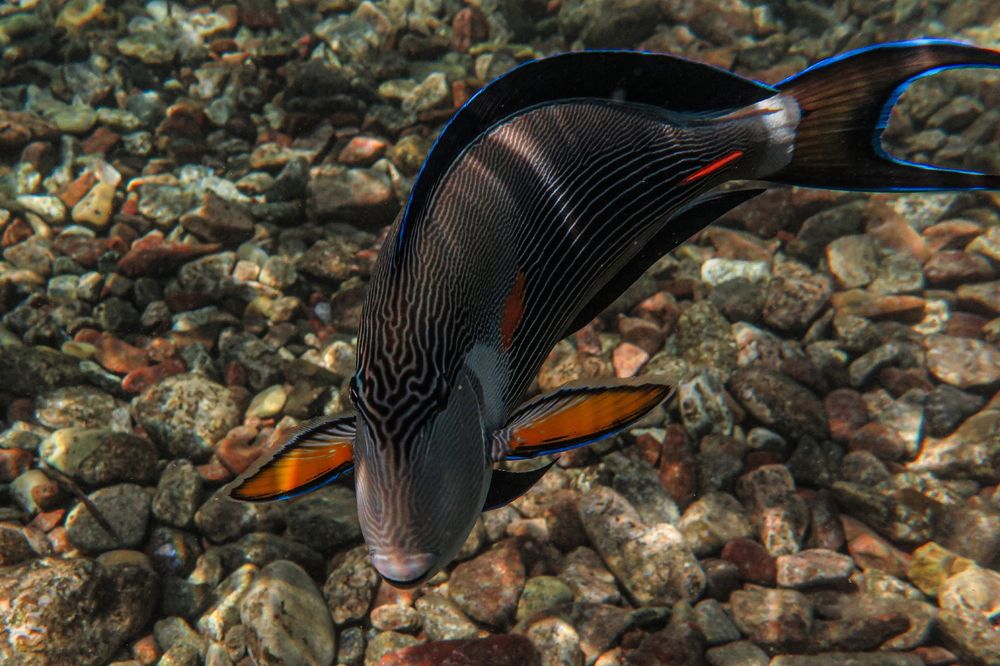 Photograph by Борис Лишневский