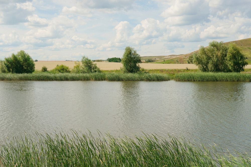 Photograph by Олег Шлыгин