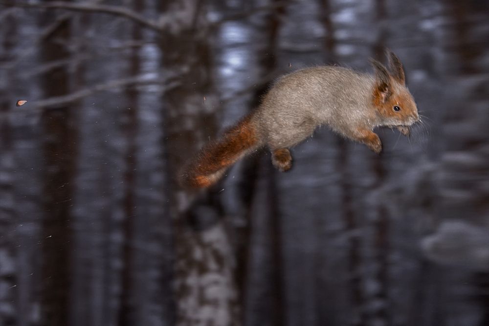 Photograph by Александр Шипиленко