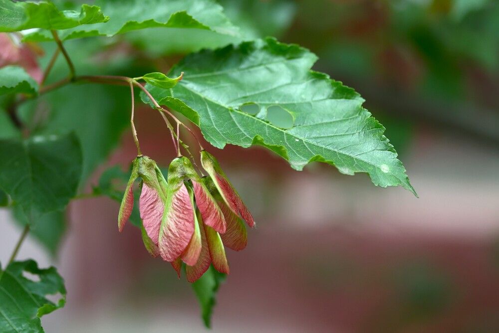 Photograph by Гагик Саркисян