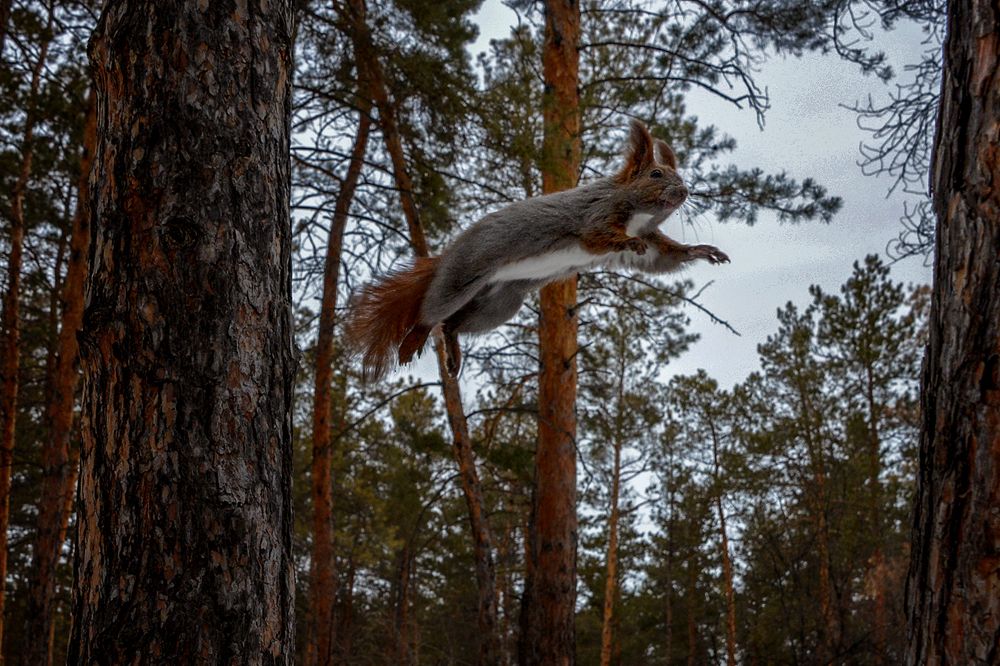 Photograph by Александр Шипиленко