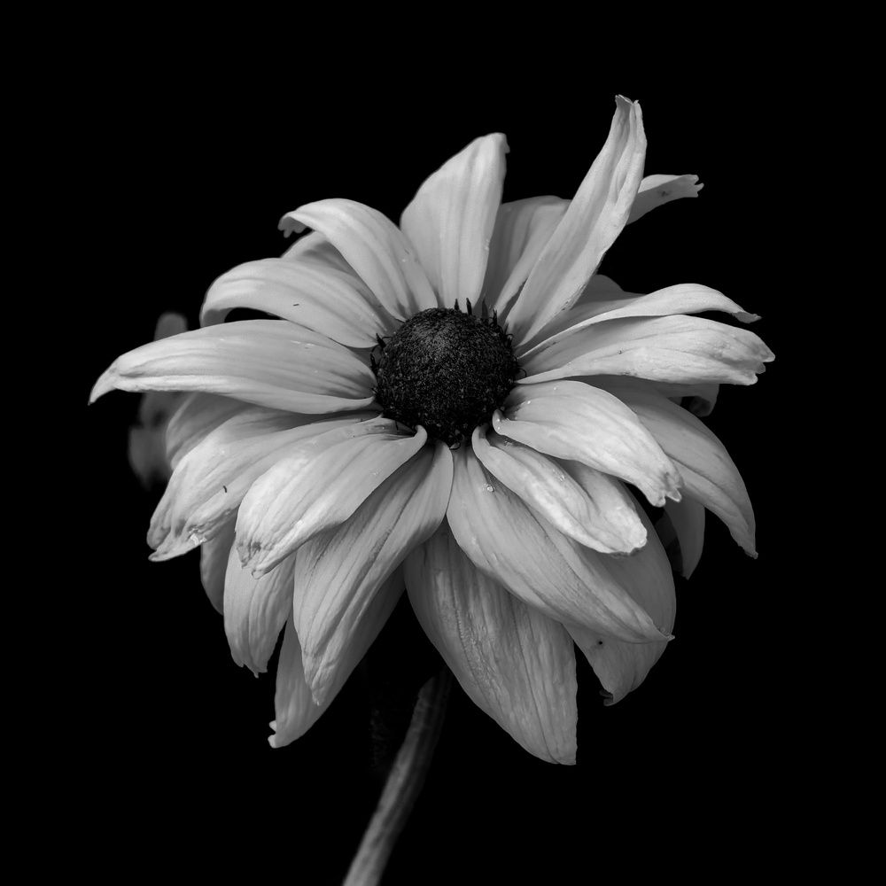 Photograph by Юрий Полушин