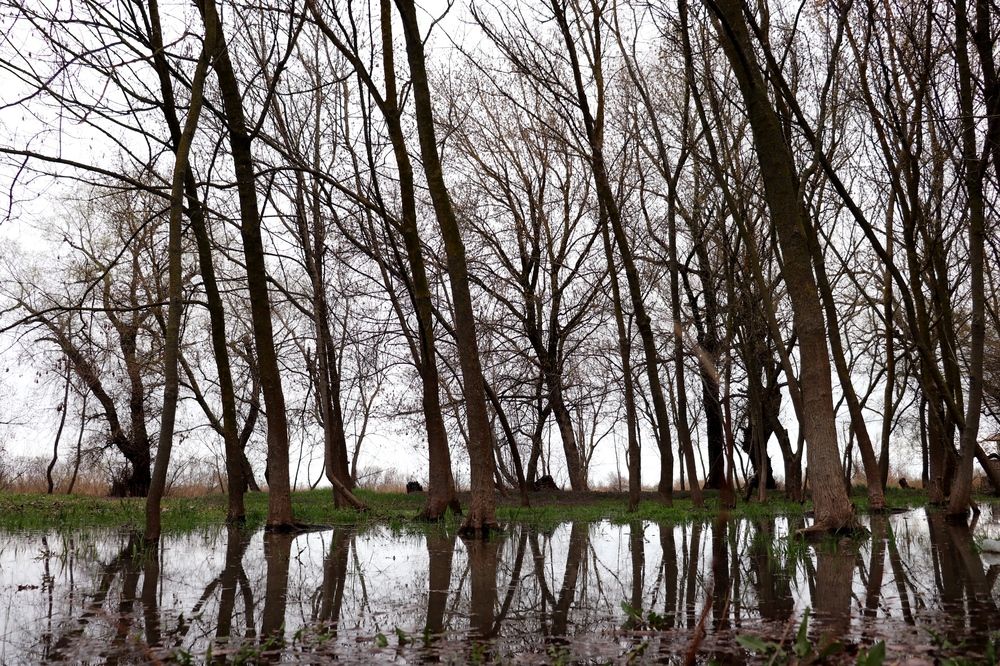 Photograph by Alexandr Tulinov