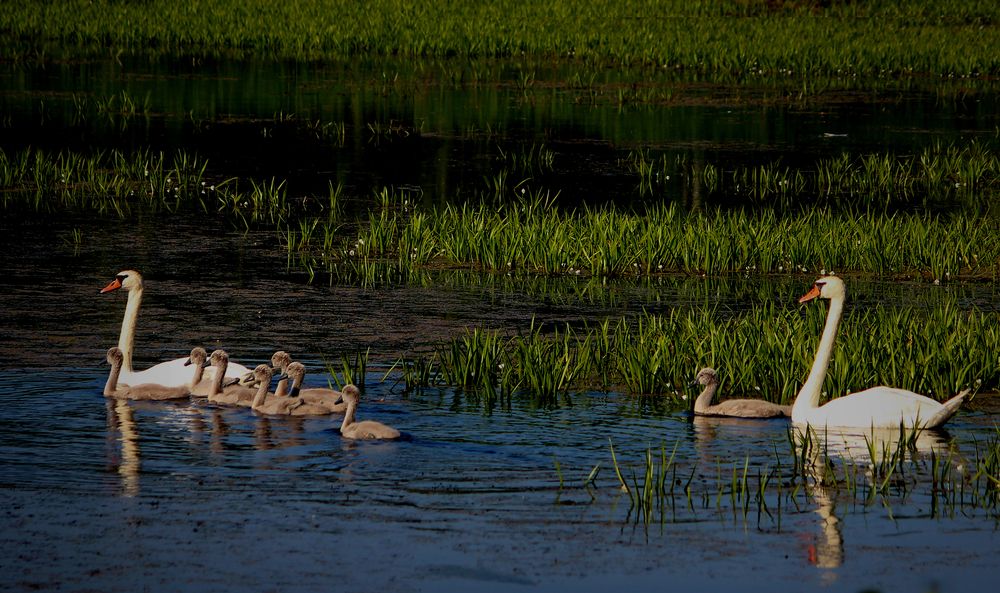 Photograph by Зоя Быкова