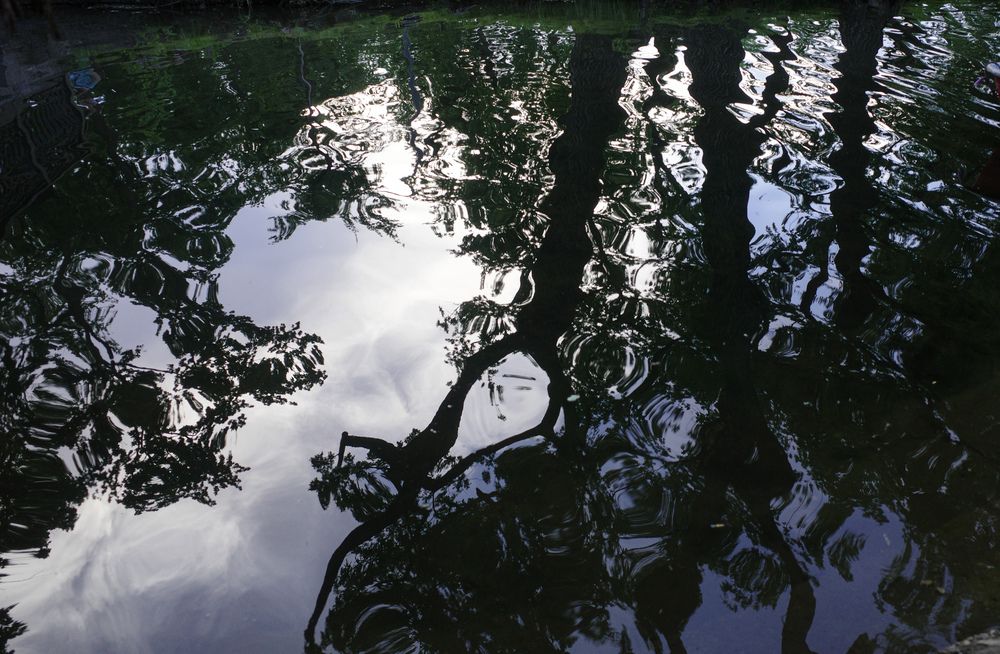 Photograph by Алла Никушкина