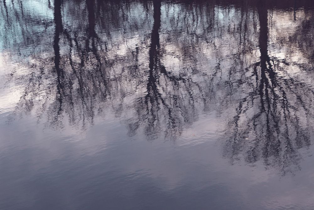 Photograph by Алла Никушкина