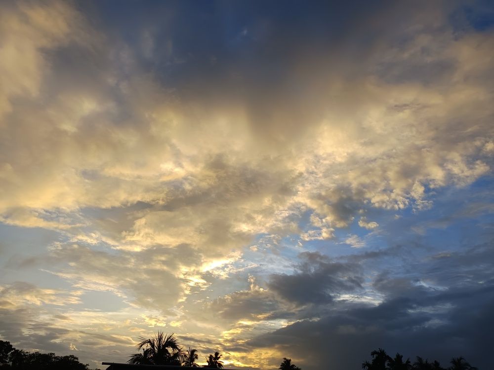 Photograph by Aditi Ghosh