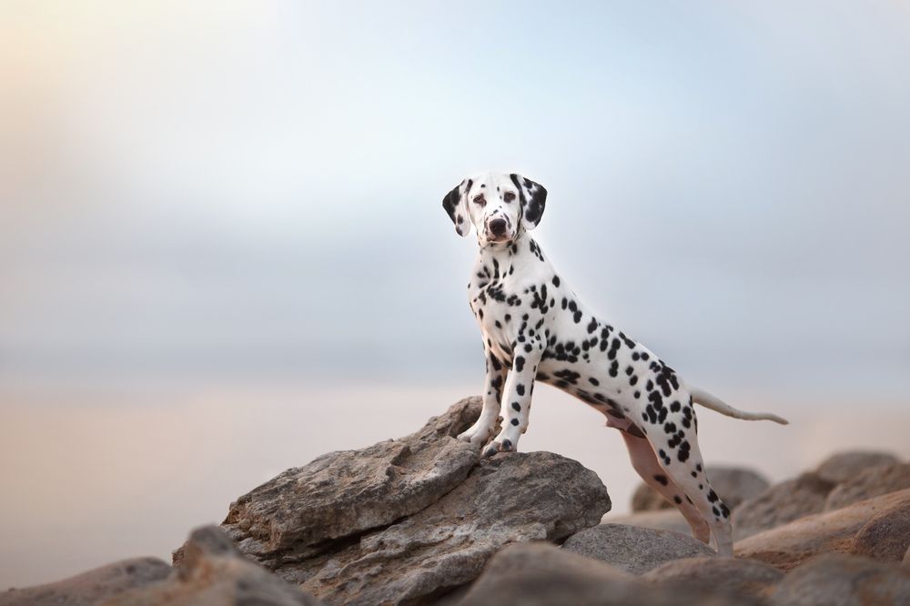 Photograph by Евгения Костусева