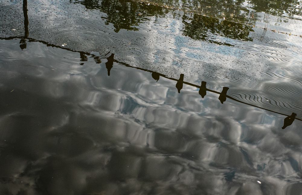 Photograph by Алла Никушкина