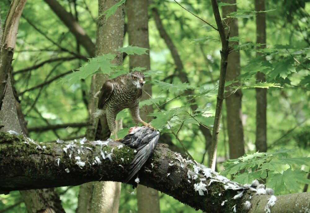 Photograph by Лариса Андреева