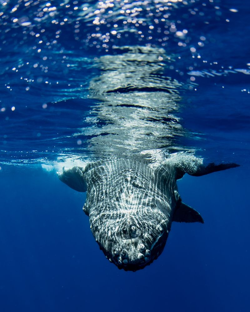 Photograph by nishijima takayuki