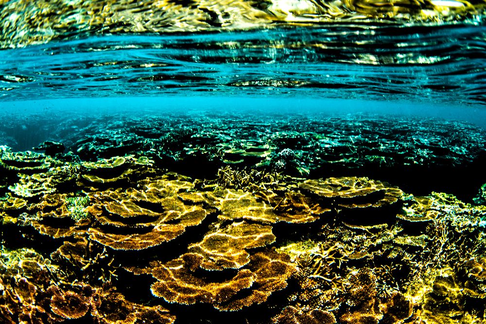 Photograph by nishijima takayuki