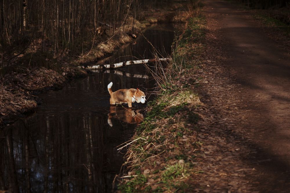 Photograph by Yana Egorova