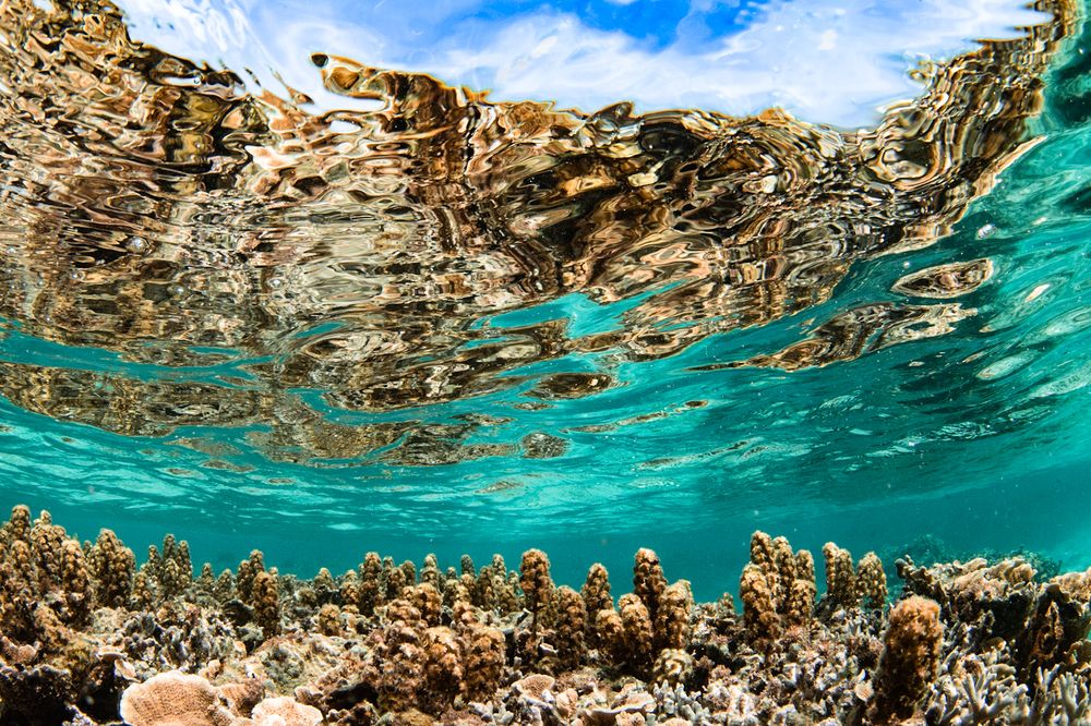 Photograph by nishijima takayuki