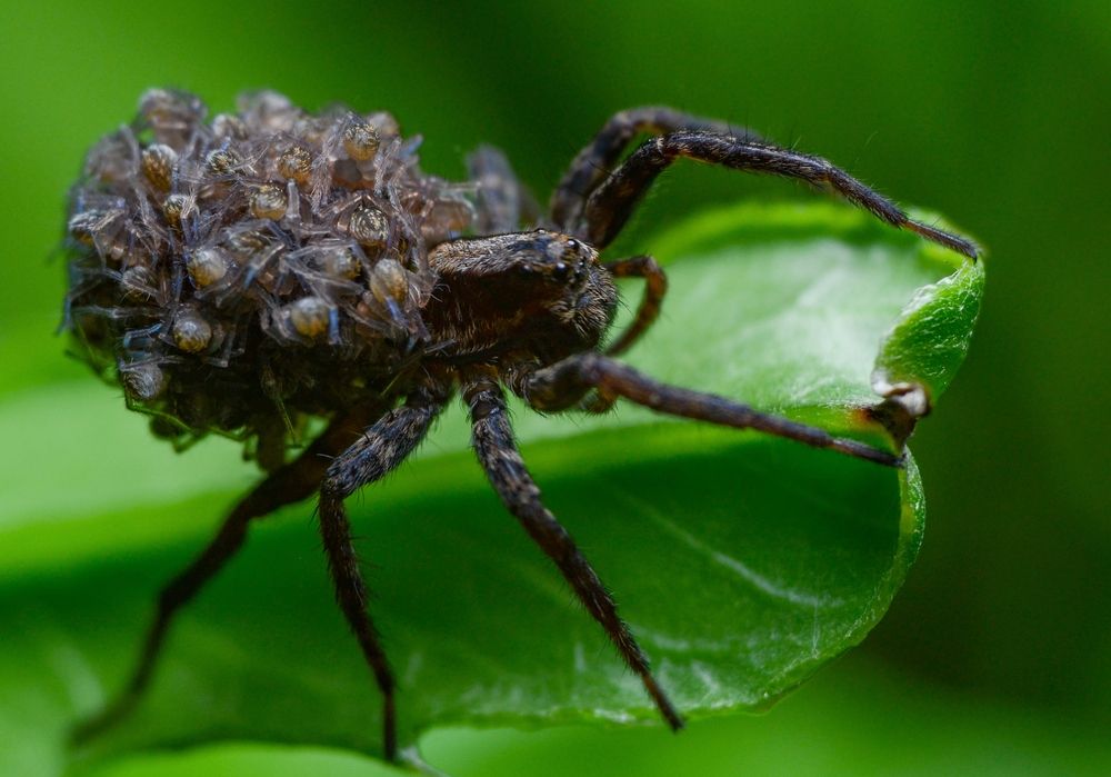 Photograph by Kirill Frolov