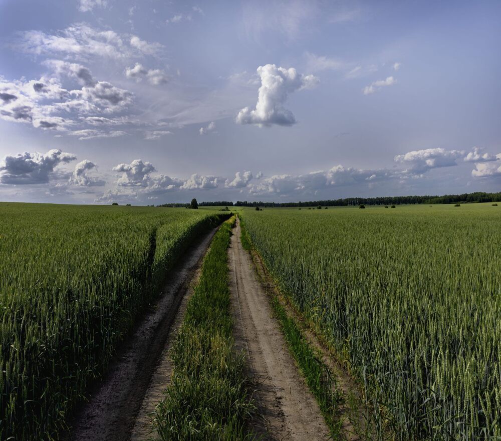Фотография автора Сергей Сморчков