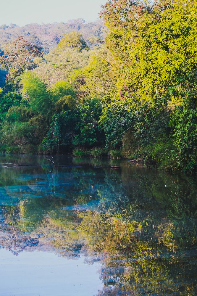 Photograph by Pradyumna K P