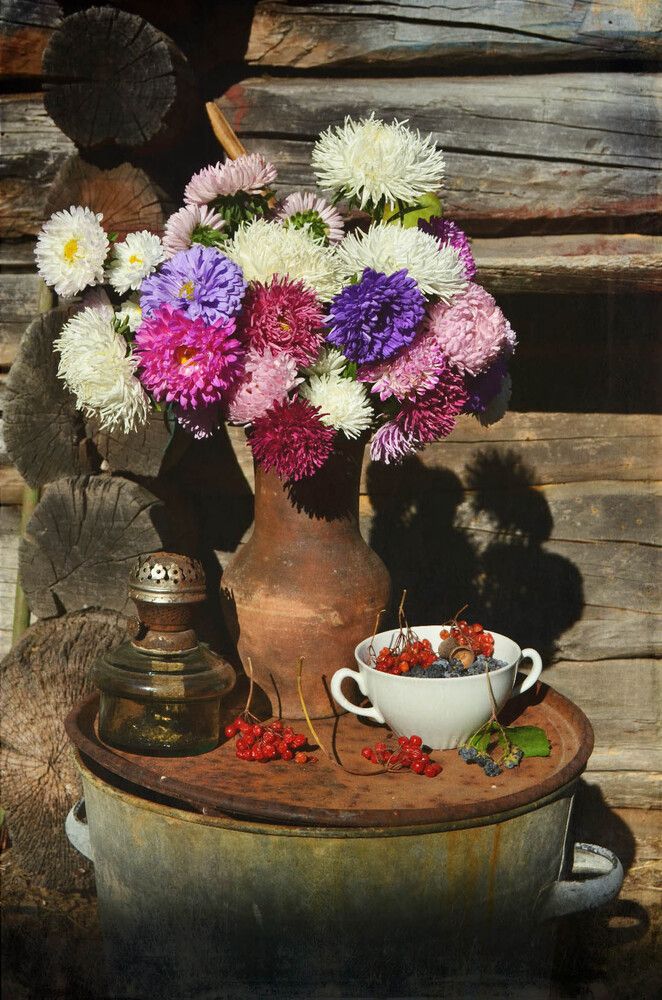 Фотография автора Наталья Елисеева