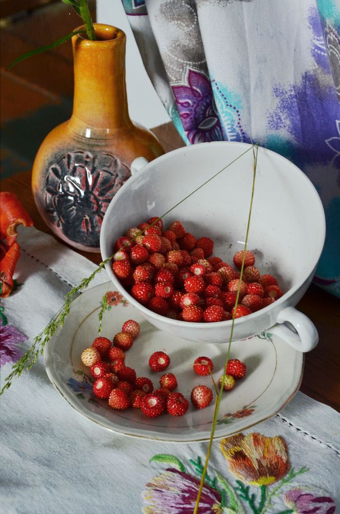 Фотография автора Наталья Елисеева