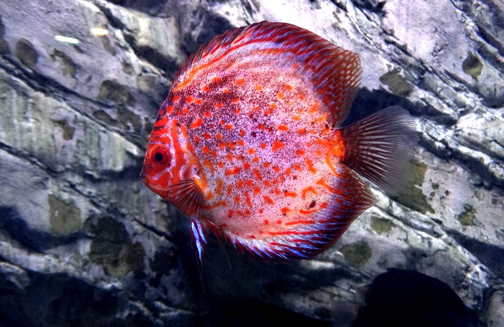 Проплывая возле скалы