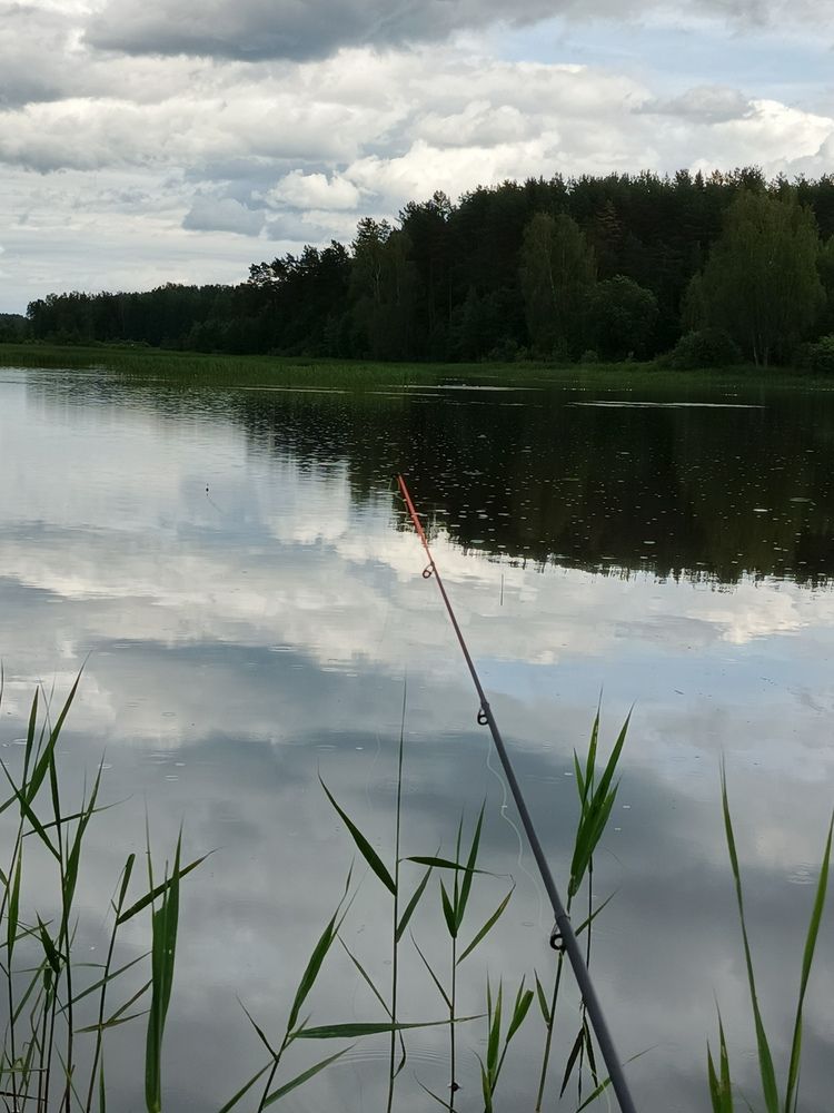 Photo #12324912