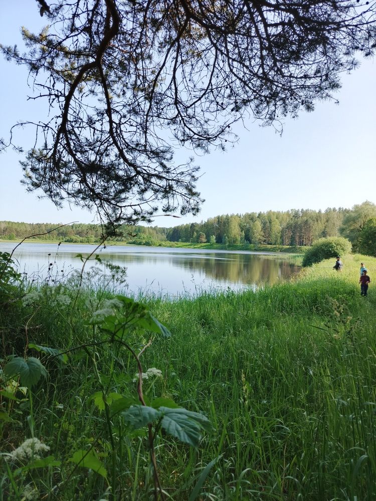 Photo #12324926