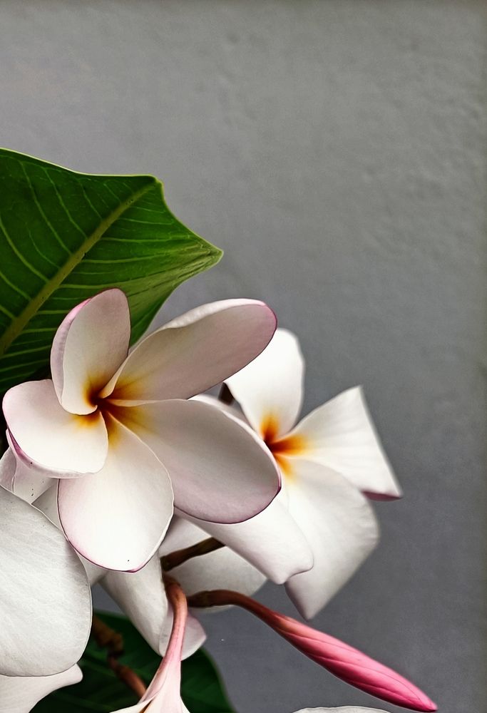 Photo #12324974