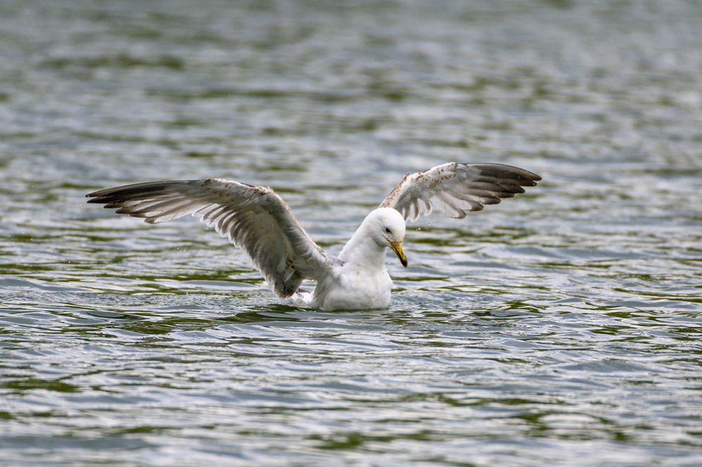 Photograph by Вячеслав Белов