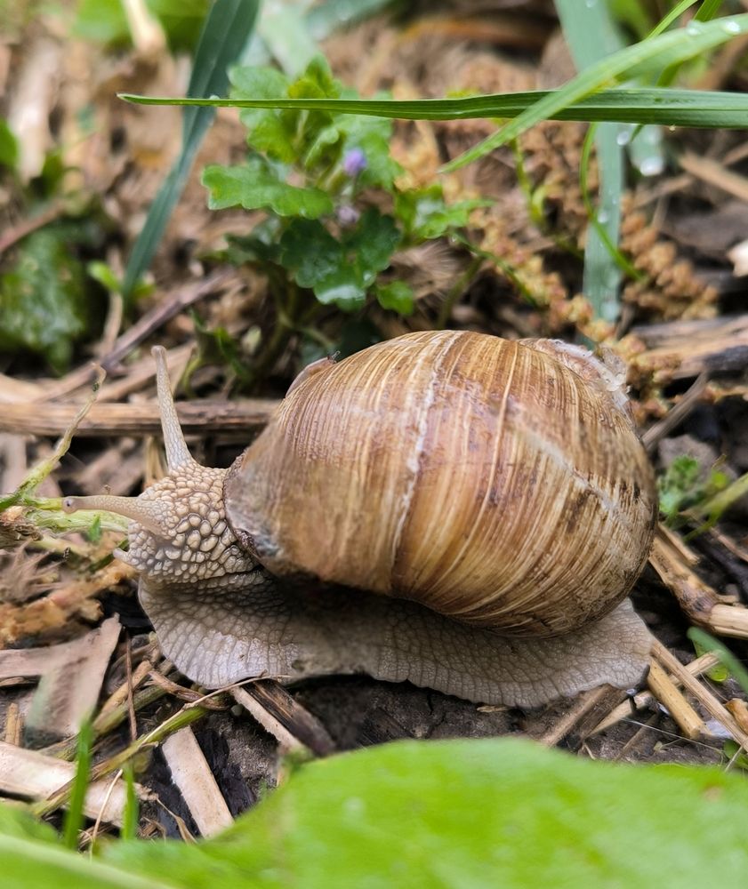 Photograph by Александр Житник