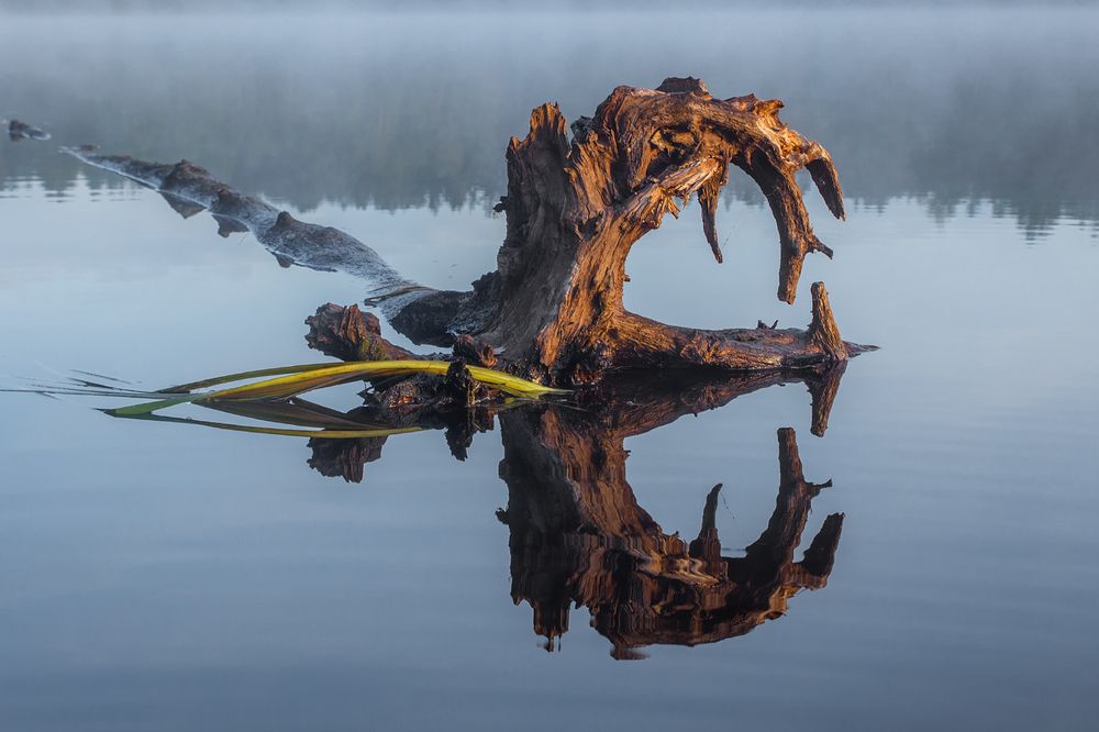 Photograph by Алексеев Дмитрий