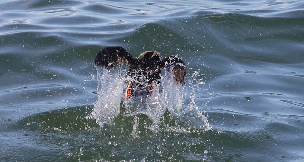 Photograph by Лада Денисова