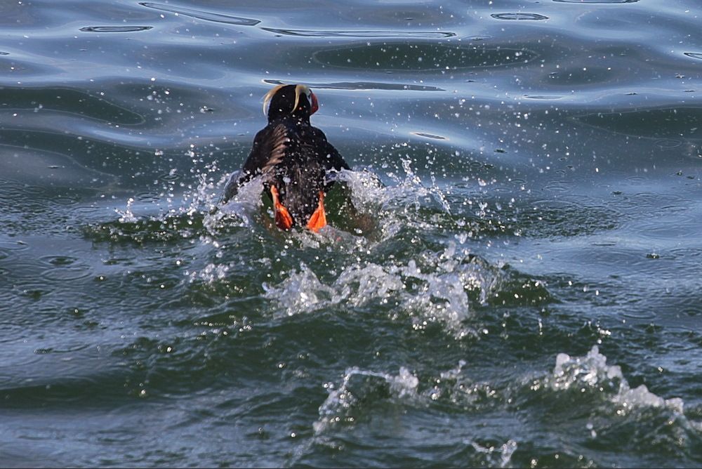 Photograph by Лада Денисова