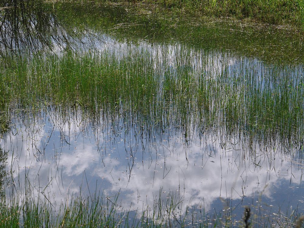 Photograph by Игорь Шевердин