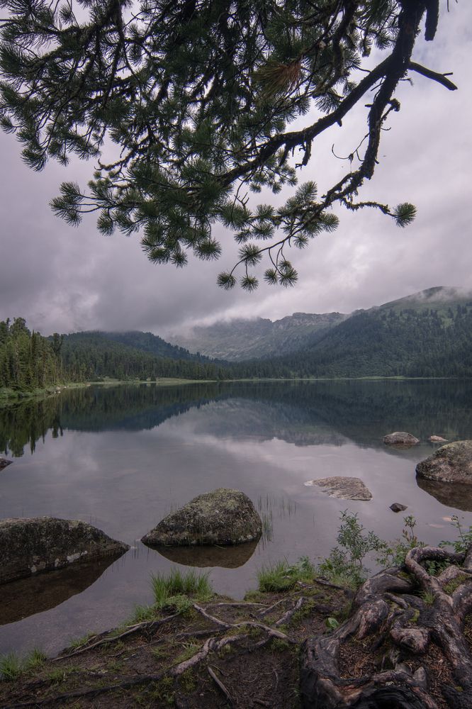 Photograph by Света Трифоненкова